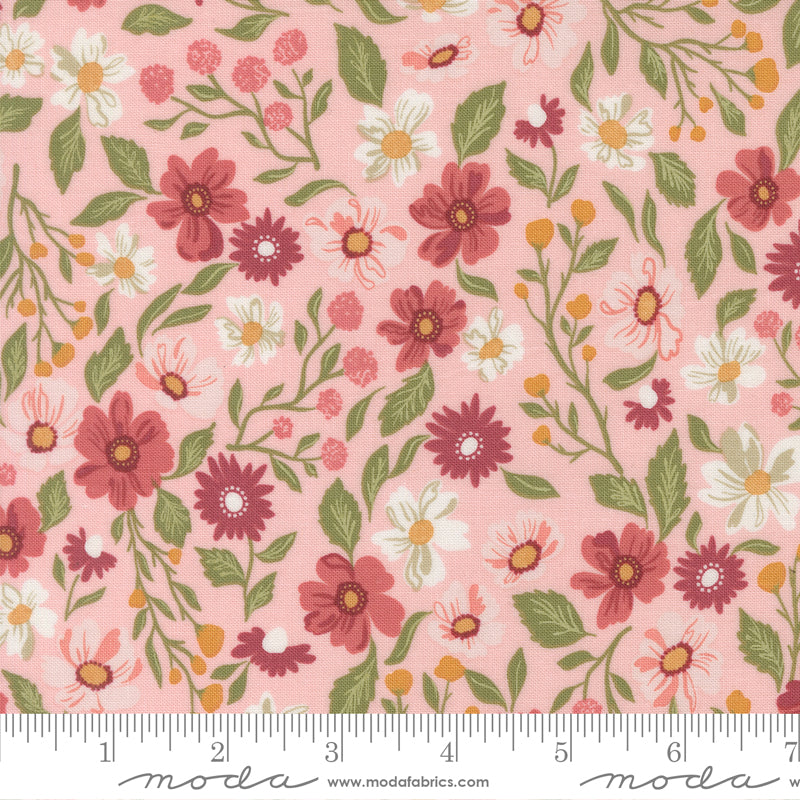 Wild Honey Wildflower Dance Carnation 5250 12 by Lella Boutique for Moda
