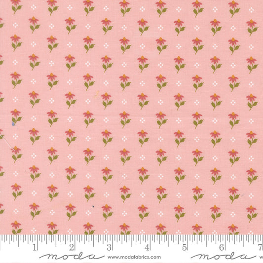 Wild Honey Bumbling Posies - Carnation 5252 12 by Lella Boutique for Moda