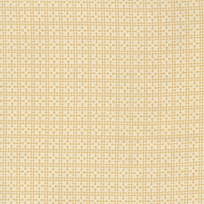 Posh Netting Blenders Check Ivory Whisper - 30776 11 by Basic Grey for Moda