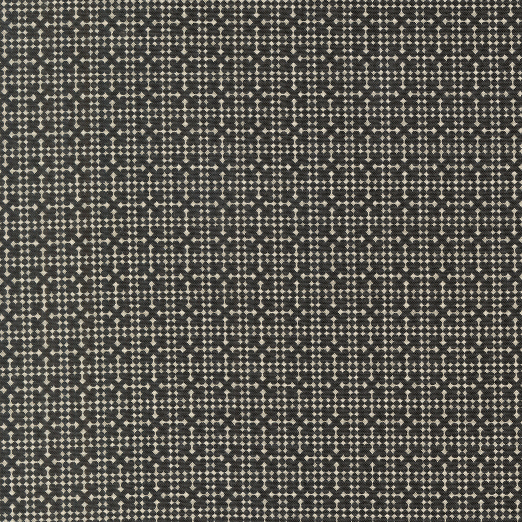 Posh Netting Blenders Check Onyx Noir - 30776 14 by Basic Grey for Moda