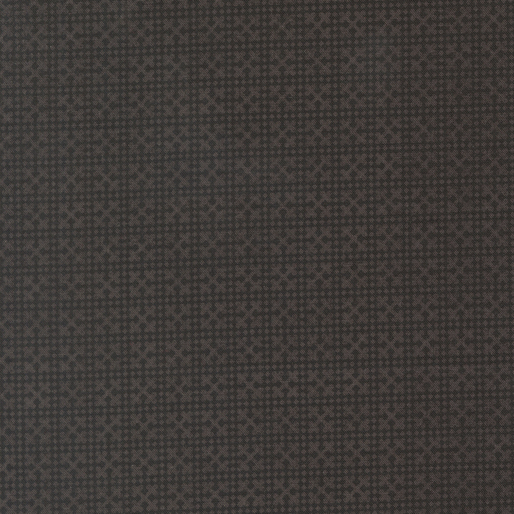 Posh Netting Blenders Check Dusk - 30776 15 by Basic Grey for Moda