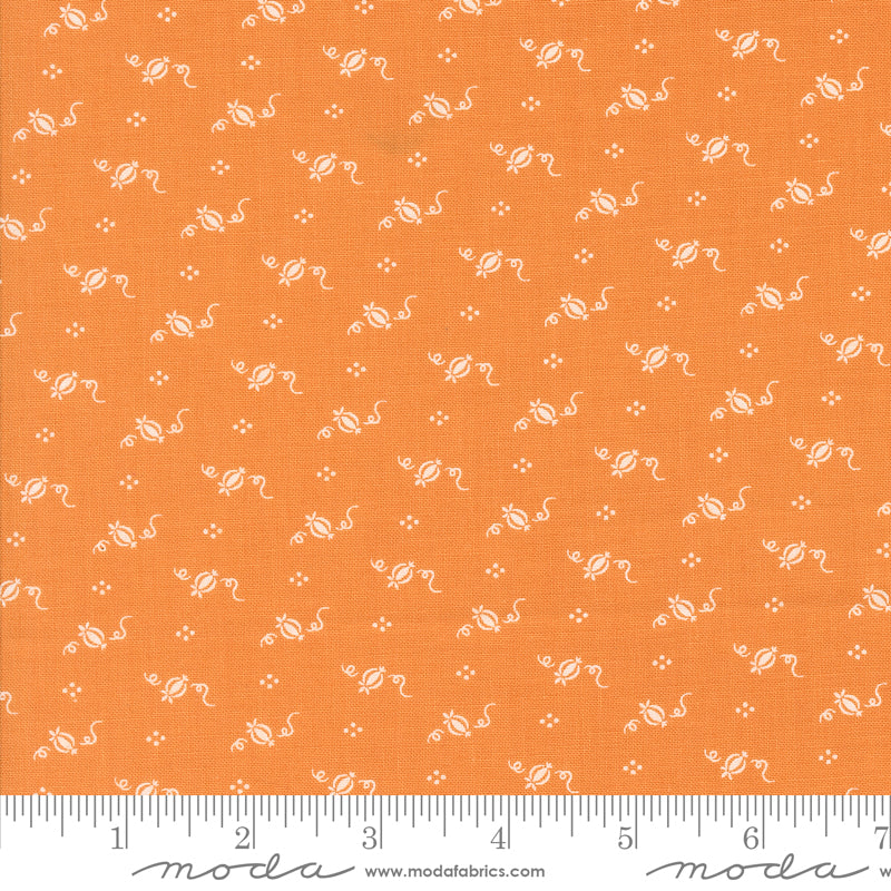 Agatha Road - Tiny Pumpkins Pumpkin 35416 12
