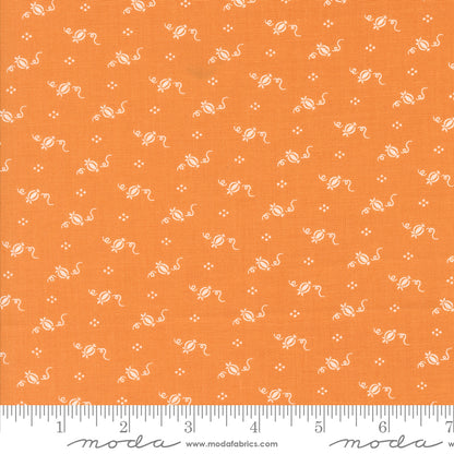 Agatha Road - Tiny Pumpkins Pumpkin 35416 12