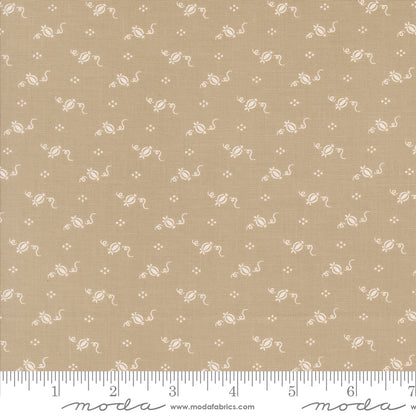 Agatha Road - Tiny Pumpkins Thunder 35416 14