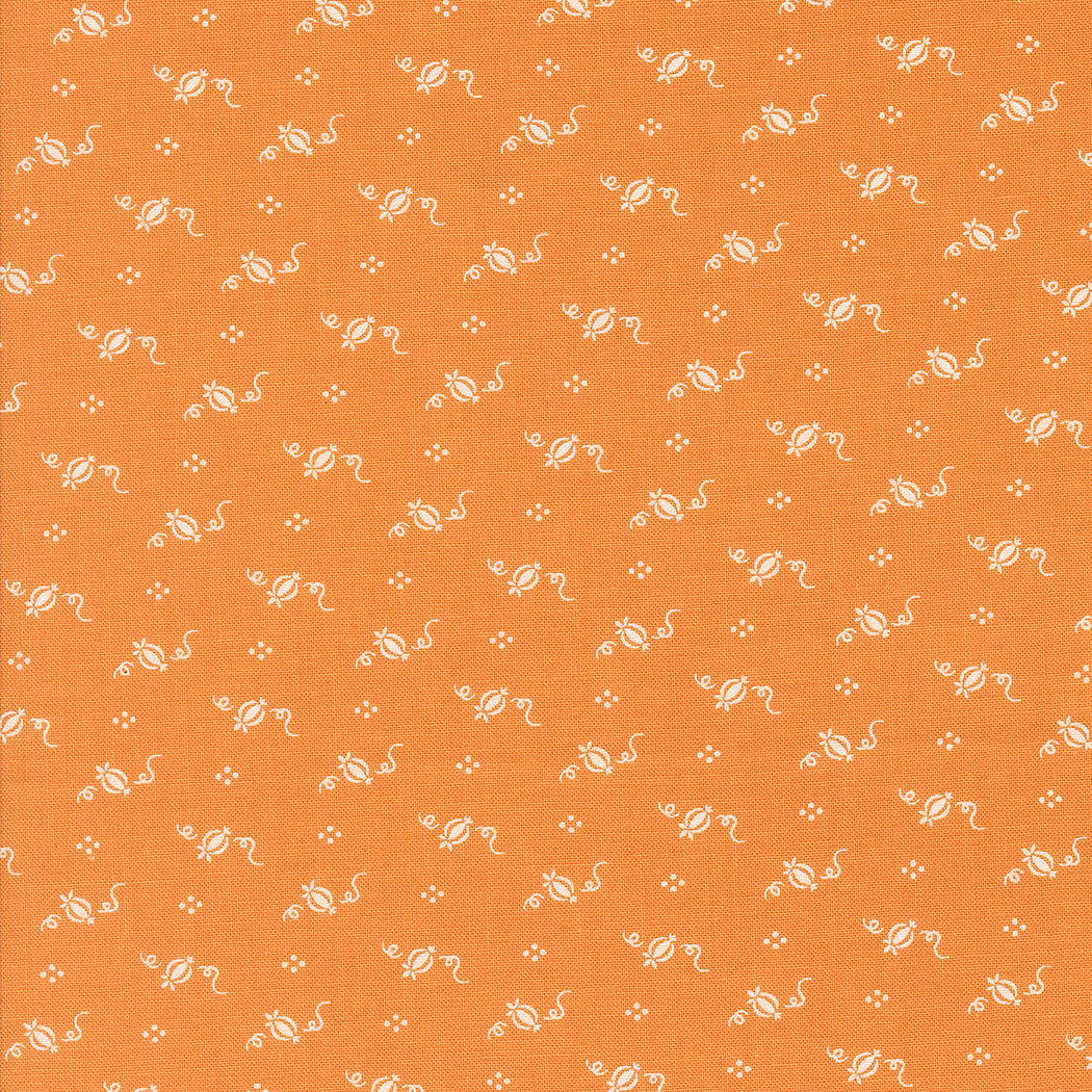 Agatha Road - Tiny Pumpkins Pumpkin 35416 12