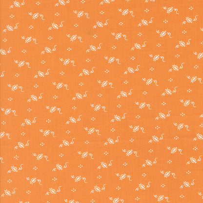 Agatha Road - Tiny Pumpkins Pumpkin 35416 12