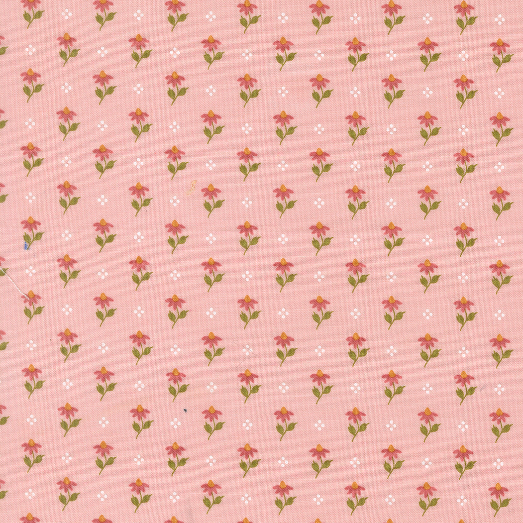 Wild Honey Bumbling Posies - Carnation 5252 12 by Lella Boutique for Moda