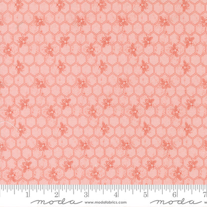 Wild Honey Honeycomb Novelty Bees Blender - Carnation 5253 12 by Lella Boutique for Moda