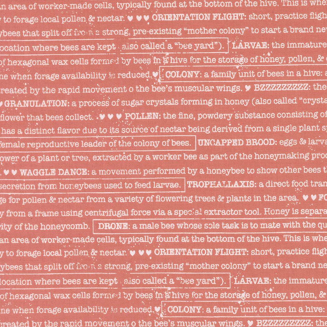 Wild Honey Buzz Words Text - Rose Water 5254 13 by Lella Boutique for Moda