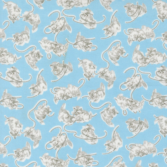 A Cat Named Stitch - Sky - 55341 12 - by Camille Roskelley for Moda