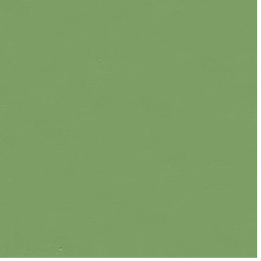 Blueprint Bella Solids Coordinates - Meadow 9900 465 by Moda