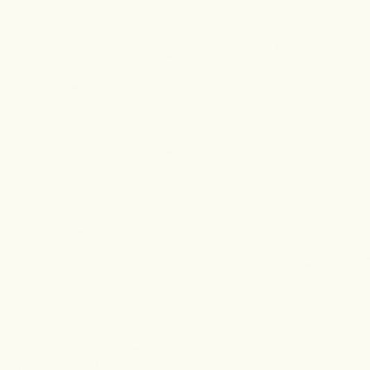 Confetti Cotton Solids Riley White