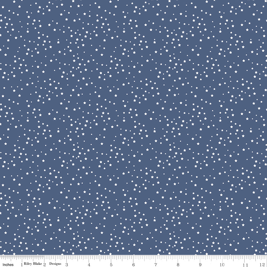 Sparklers Quilt Kit - Backing Set Included