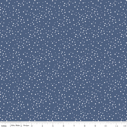 Sparklers Quilt Kit - Backing Set Included